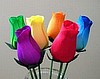 Rainbow Roses- 1/2 dozen