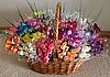 Mix & Match Dozen- 2 choices
