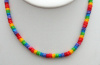 NEW- Rainbow Shell Necklace