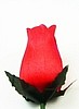 Red Roses- 1/2 dozen