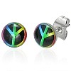NEW- Steel Peace Earrings