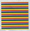 Rainbow Bandanna