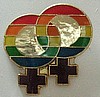 NEW- Rainbow Female Lapel Pin