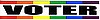 Rainbow "Voter" Sticker