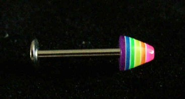 Rainbow Labret