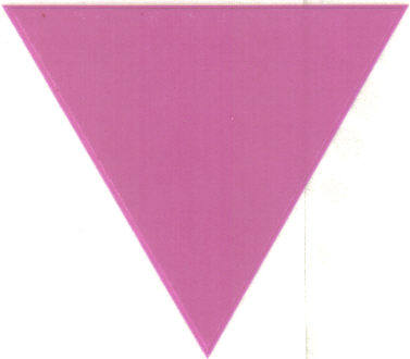Pink Triangle Sticker