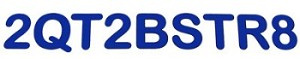 NEW- 2QT2BSTR8 Sticker