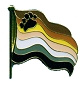 NEW- Bear Flag Lapel