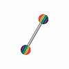 SPECIAL- Pastel Rainbow Barbell